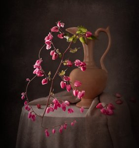 Elegante natura morta rosa da Margareth Perfoncio