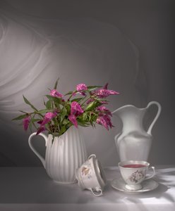 Fiori eleganti per l