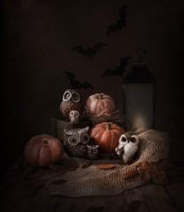 Gufi e zucche di Halloween da Margareth Perfoncio
