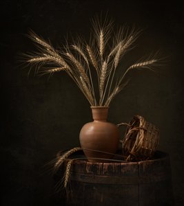 Natura morta con grano mietuto
