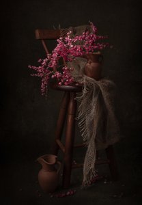 Fiori rosa malinconici da Margareth Perfoncio