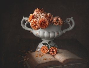 Rose malinconiche e un vecchio libro