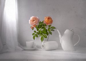 Tè alla rosa del mattino da Margareth Perfoncio