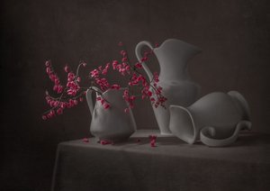 Fiori rosa e brocche bianche da Margareth Perfoncio