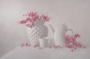 Natura morta in rosa tenue da Margareth Perfoncio