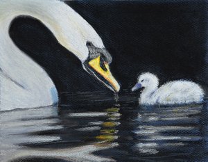 Segui la mamma da Margo Starkey