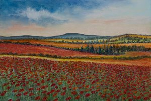 Campi di Papaveri, Fiandre da Margo Starkey