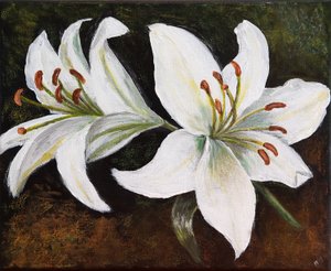 Giglio bianco, 2022