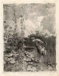 Il botanico da Marià Fortuny Marsal