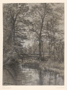 Stagno nel bosco da Maria Bilders van Bosse (signed by artist)