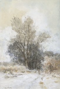 Passeggero nella Neve al Margine di un Bosco