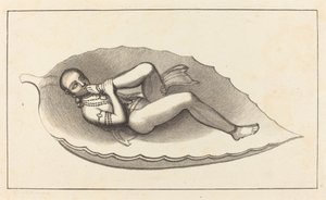 Vishnu, agente creatore di Brahma, atteggiamento, l