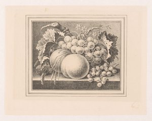 Composizione con frutti in una cornice da Maria Geertruida de Goeje Barbiers (attributed to)