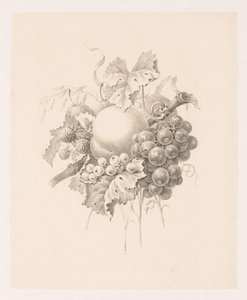 Composizione di frutti da Maria Geertruida de Goeje Barbiers (attributed to)
