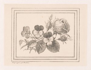 Rose e violette da Maria Geertruida de Goeje Barbiers