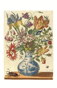 Piastra dal Blumenbuch (incisione colorata a mano) da Maria Sibylla Graff Merian