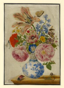  da Maria Sibylla Merian