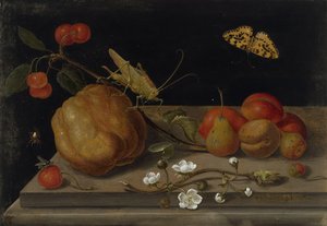 Natura morta con frutta, una cavalletta e una farfalla, tra il 1670 e il 1680 da Maria Sibylla Merian
