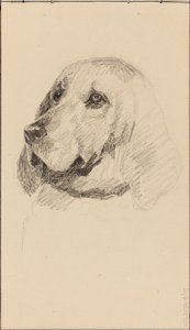 Testa di cane da Maria Wiik