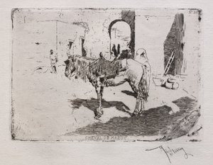 Cavallo del Marocco
