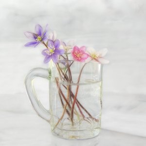 Delicati fiori primaverili da Marie-anne Stas