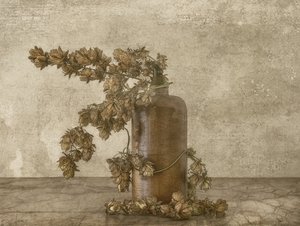 Natura morta con luppolo rustico da Marie-anne Stas