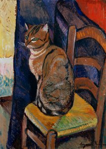 Studio di un gatto seduto su una sedia