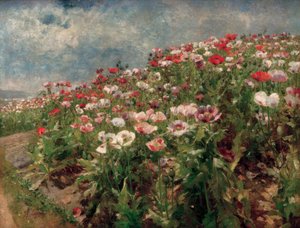 Papavero in fiore, motivo da St. Georgen vicino a Melk da Marie Egner