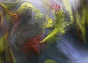 Vorticoso flusso autunnale da Marijose Cueli
