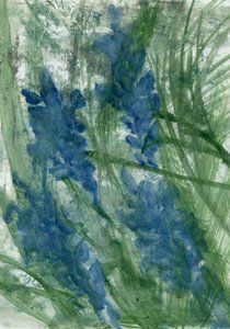 Fiori blu, 2022 da Marina Falco