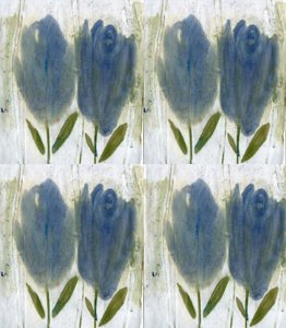 Tulipani blu