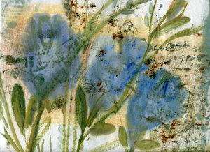 Fiori blu 2 da Marina Falco
