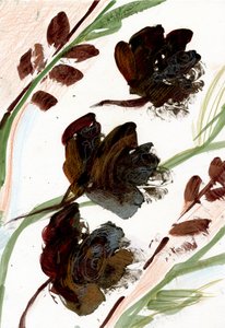 Fiori Secchi, 2020 da Marina Falco