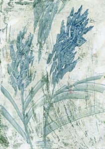 Fiori azzurri chiari (2022)