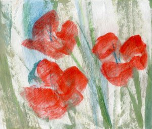 Fiori rossi da Marina Falco