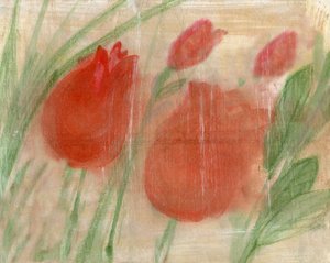 Tulipani rossi da Marina Falco