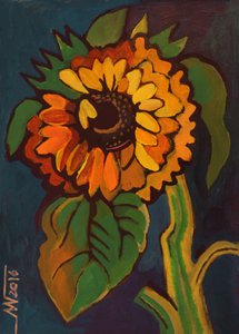 Girasole estivo in grassetto