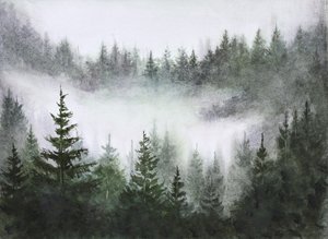 Serenità della foresta nebbiosa