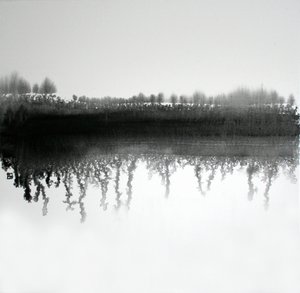 Riflesso nella foresta monocromatica da Marina Nelson