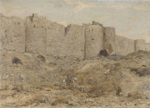 Mura della Città in India da Marius Bauer