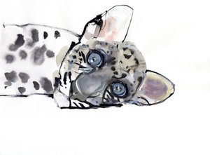Leopardo arabo, 2008 da Mark Adlington
