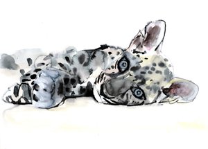 Cucciolo di leopardo arabo, 2008 da Mark Adlington
