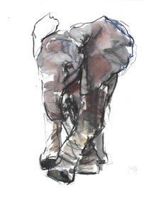 Studio di elefante bambino, 2018 da Mark Adlington