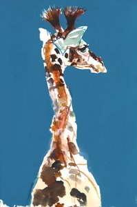 Giraffa Masai Baby