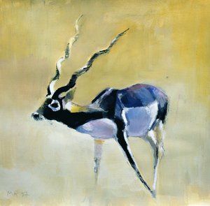 Cervo nero, Velavadar, 1997 da Mark Adlington