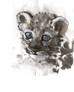 Occhi blu (cucciolo di leopardo arabo), 2008 da Mark Adlington
