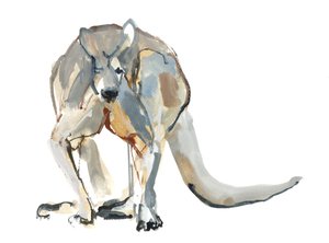 Pugile (Canguro rosso), 2012 da Mark Adlington