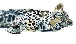 Siesta interrotta, 2015 da Mark Adlington