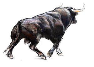 Toro
