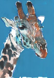 Giraffa Masai maschio, 2018 da Mark Adlington